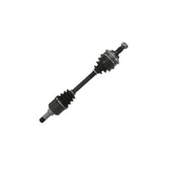 پلوس کامل چپ کوپا ریگان