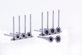 سوپاپ مگان 2000 نیکو پارت کد ID 42006066 برای 2000