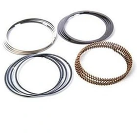 رینگ استانداردX33s - 530 new - تیگو5