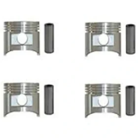 پیستون-گژن پین با خار 020 -پژو ROA هانتر پارت کد 430305