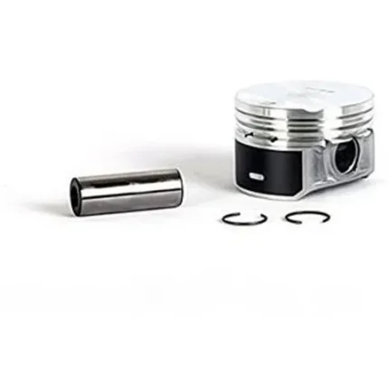 پيستون EF7 باخار و گژن پين عظام کد 3107282