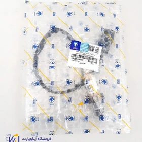 سنسور اکسیژن 405 سیستم زیمنس شرکتی ایساکو کد 0920901719