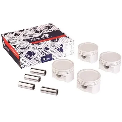 پيستون RIO-025 با گژن پين عظام کد 3107070