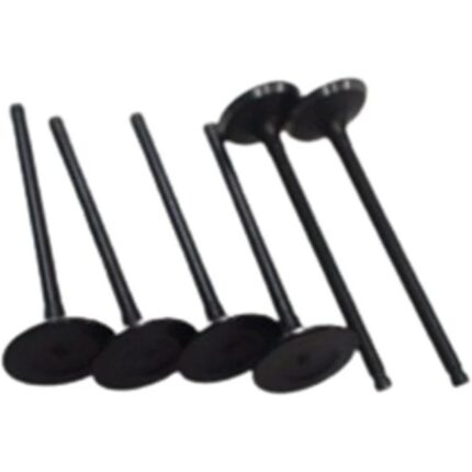 سوپاپ دود و هوا ام وی ام 110S(نیو),X22 پرو