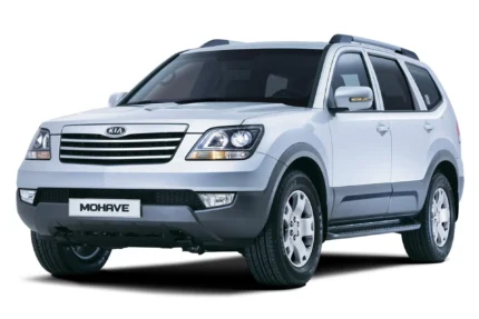 منبع اگزوز میانی موهاوی